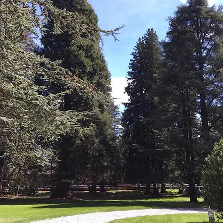 Parco Cambria